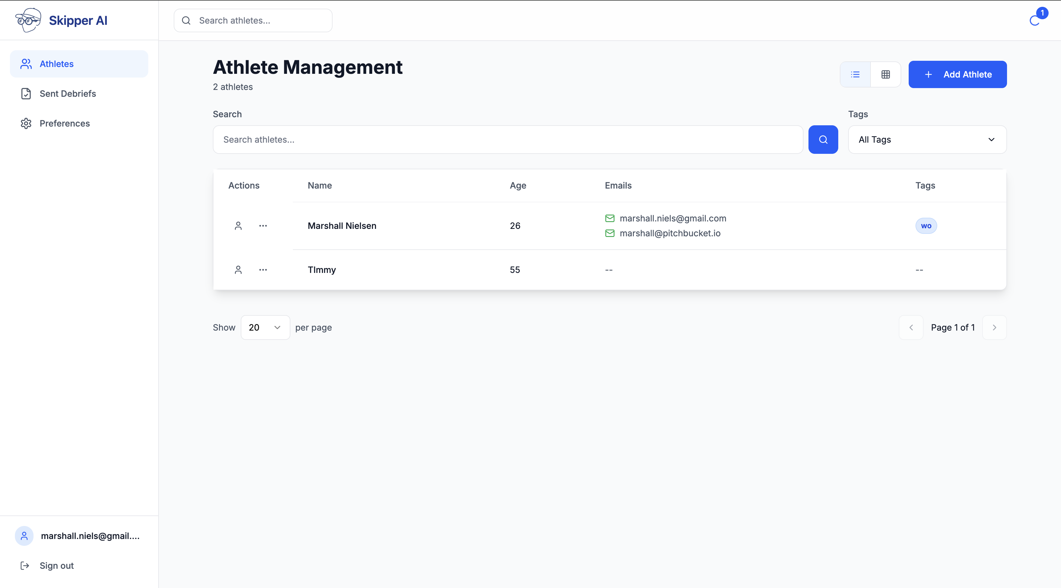 Skipper AI Dashboard - Secondary View
